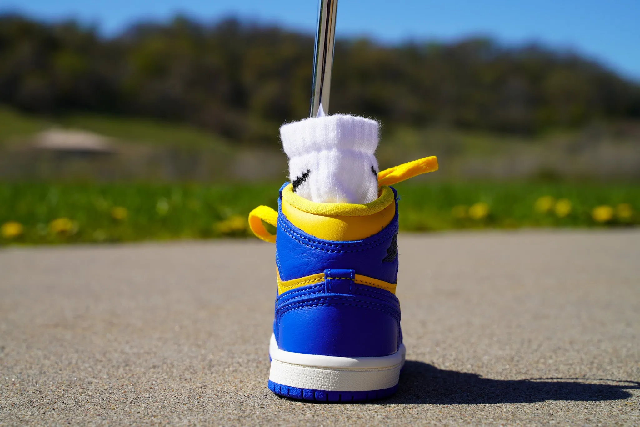 Jordan 1 Retro High OG [ROYAL MAIZE] Standing Sneaker Putter Cover