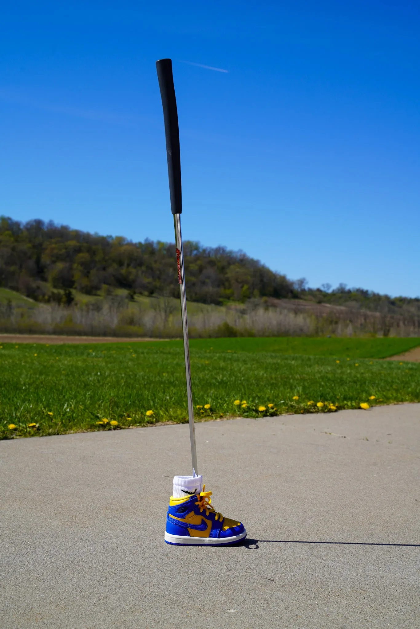 Jordan 1 Retro High OG [ROYAL MAIZE] Standing Sneaker Putter Cover