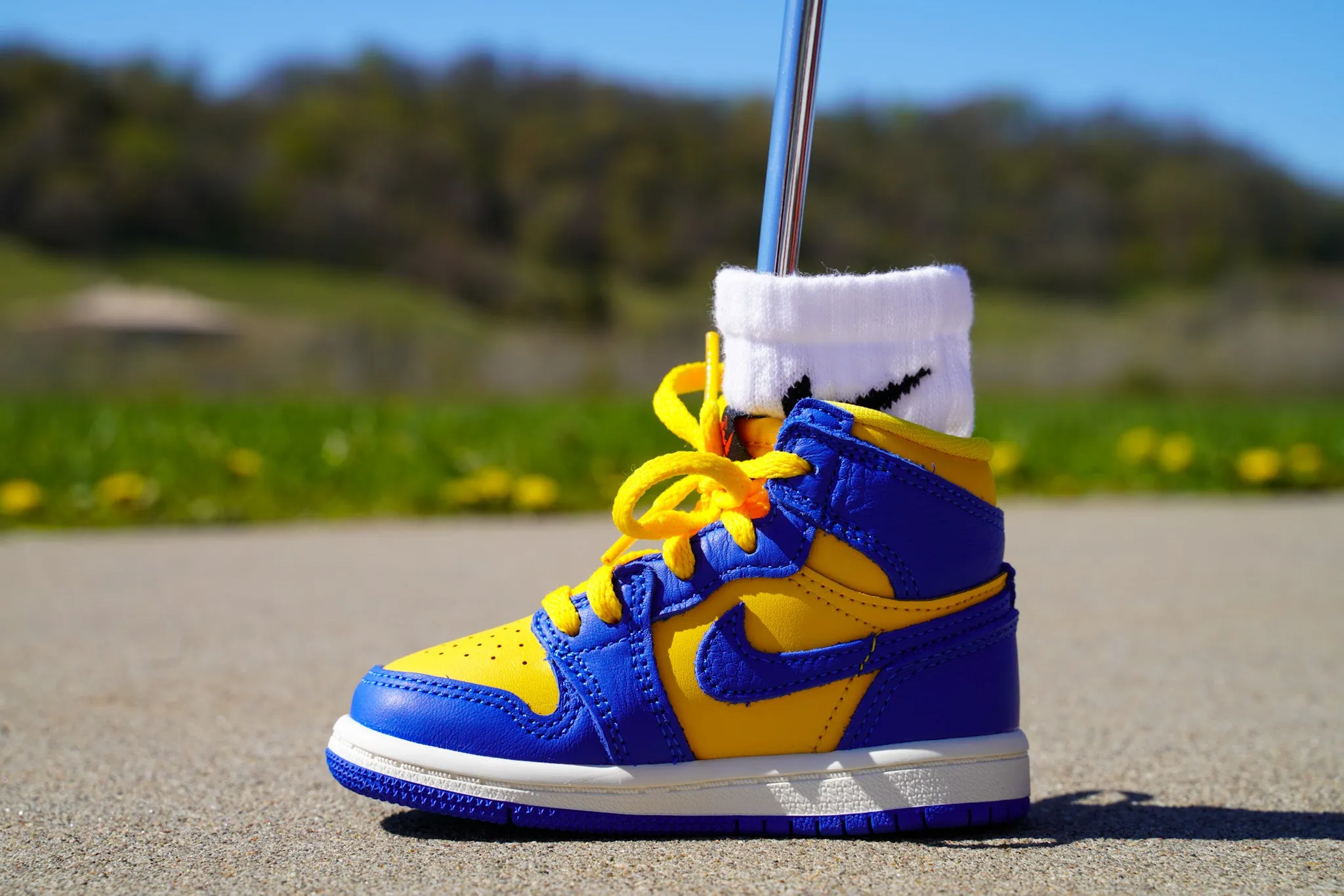 Jordan 1 Retro High OG [ROYAL MAIZE] Standing Sneaker Putter Cover