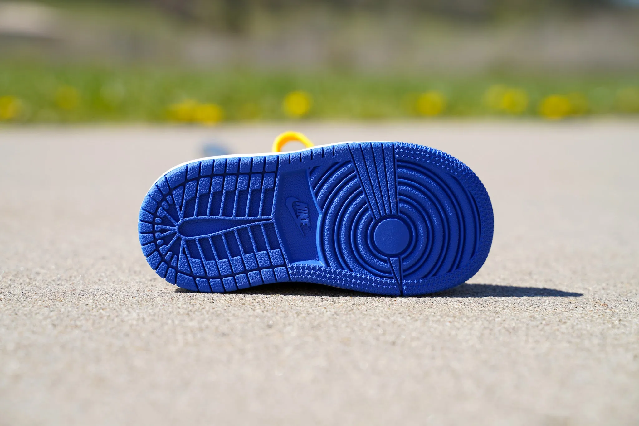 Jordan 1 Retro High OG [ROYAL MAIZE] Standing Sneaker Putter Cover