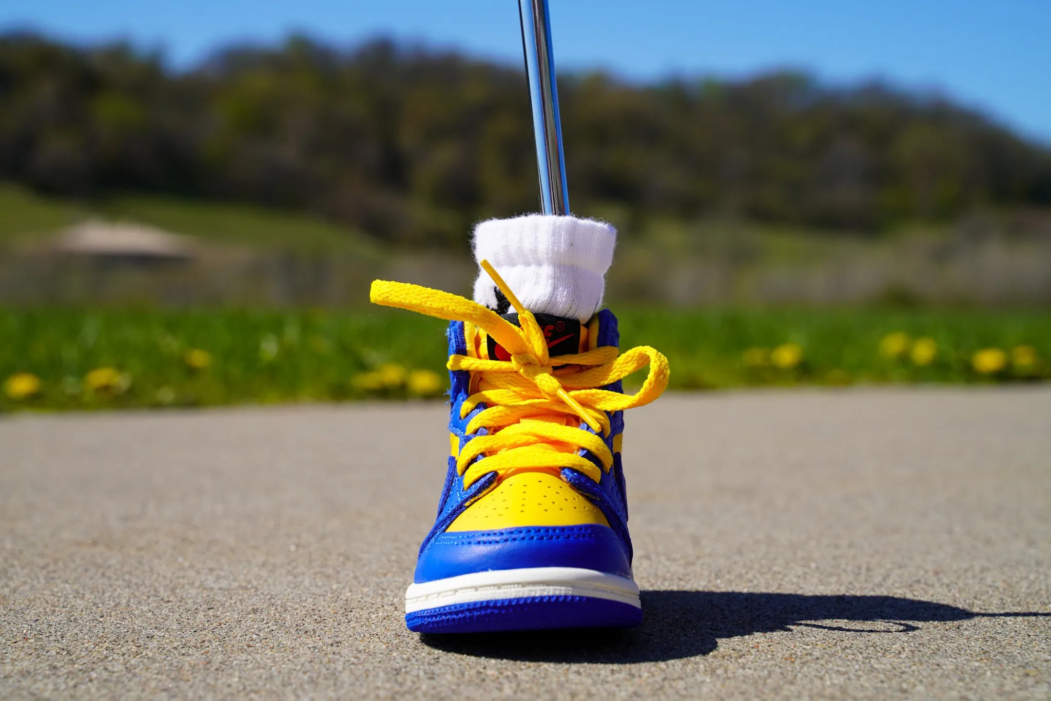 Jordan 1 Retro High OG [ROYAL MAIZE] Standing Sneaker Putter Cover